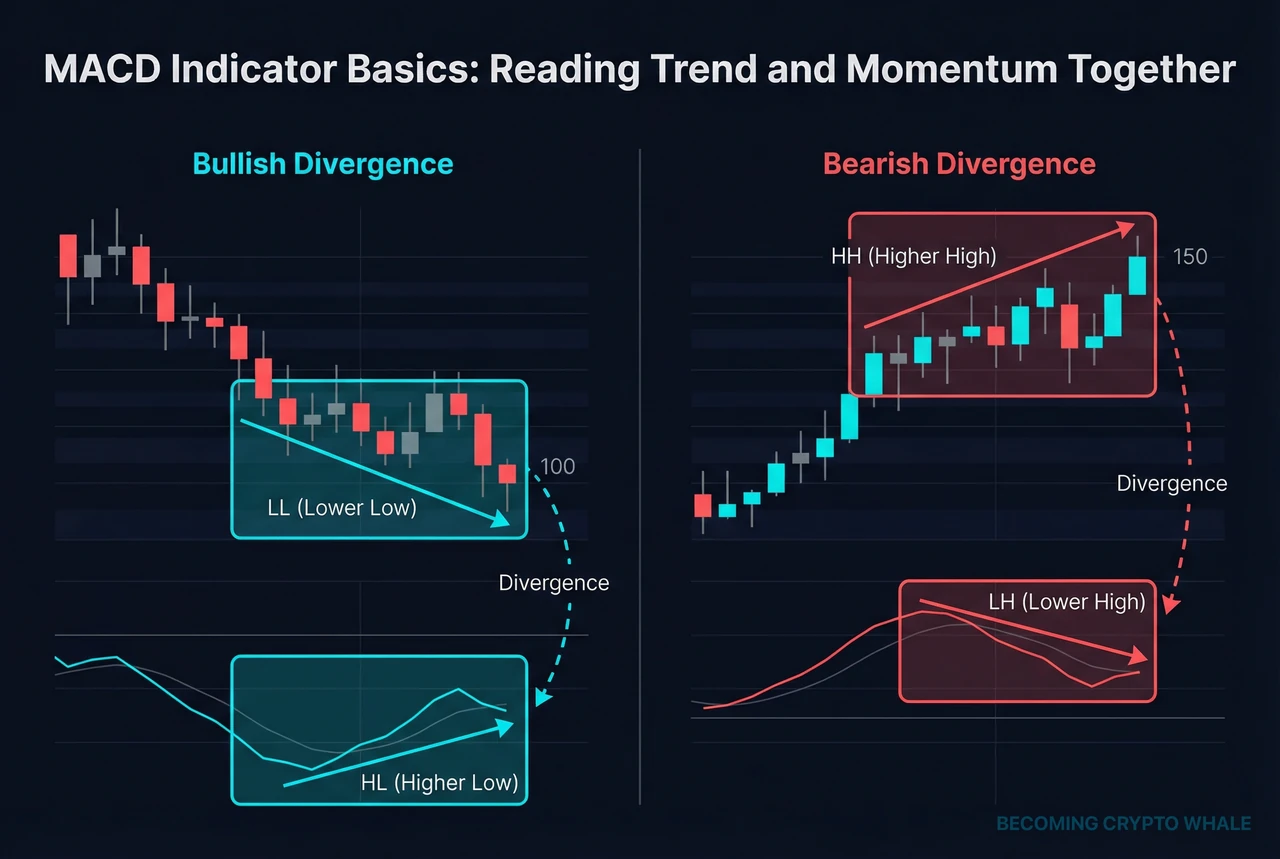 À gauche, le prix fait un plus bas plus bas mais le MACD fait un plus bas plus haut (divergence haussière) ; à droite, le prix fait un plus haut plus haut mais le MACD fait un plus haut plus bas (divergence baissière)