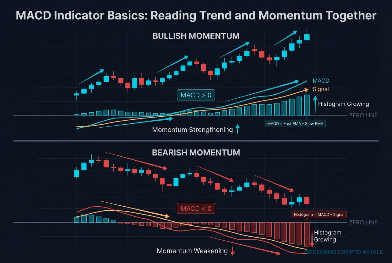 Ligne MACD, ligne de signal et histogramme séparés, avec le momentum positif/négatif et ses changements d'intensité expliqués par des flèches et labels