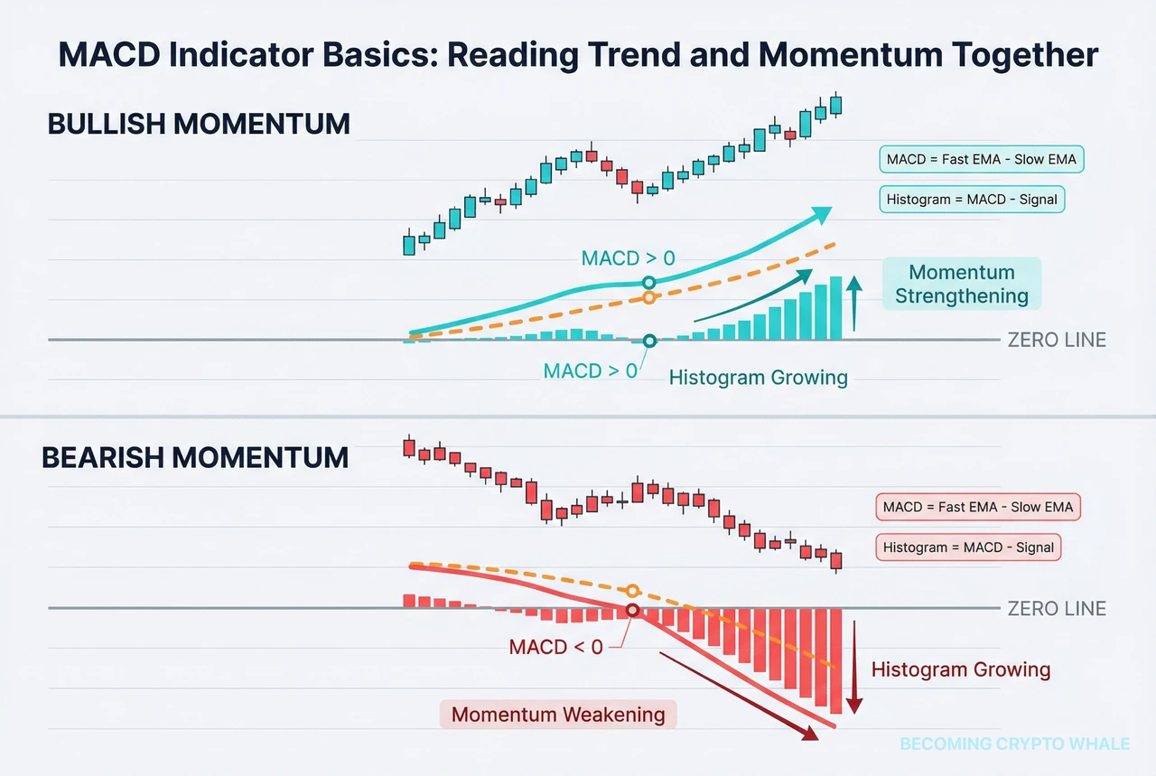 Ligne MACD, ligne de signal et histogramme séparés, avec le momentum positif/négatif et ses changements d'intensité expliqués par des flèches et labels