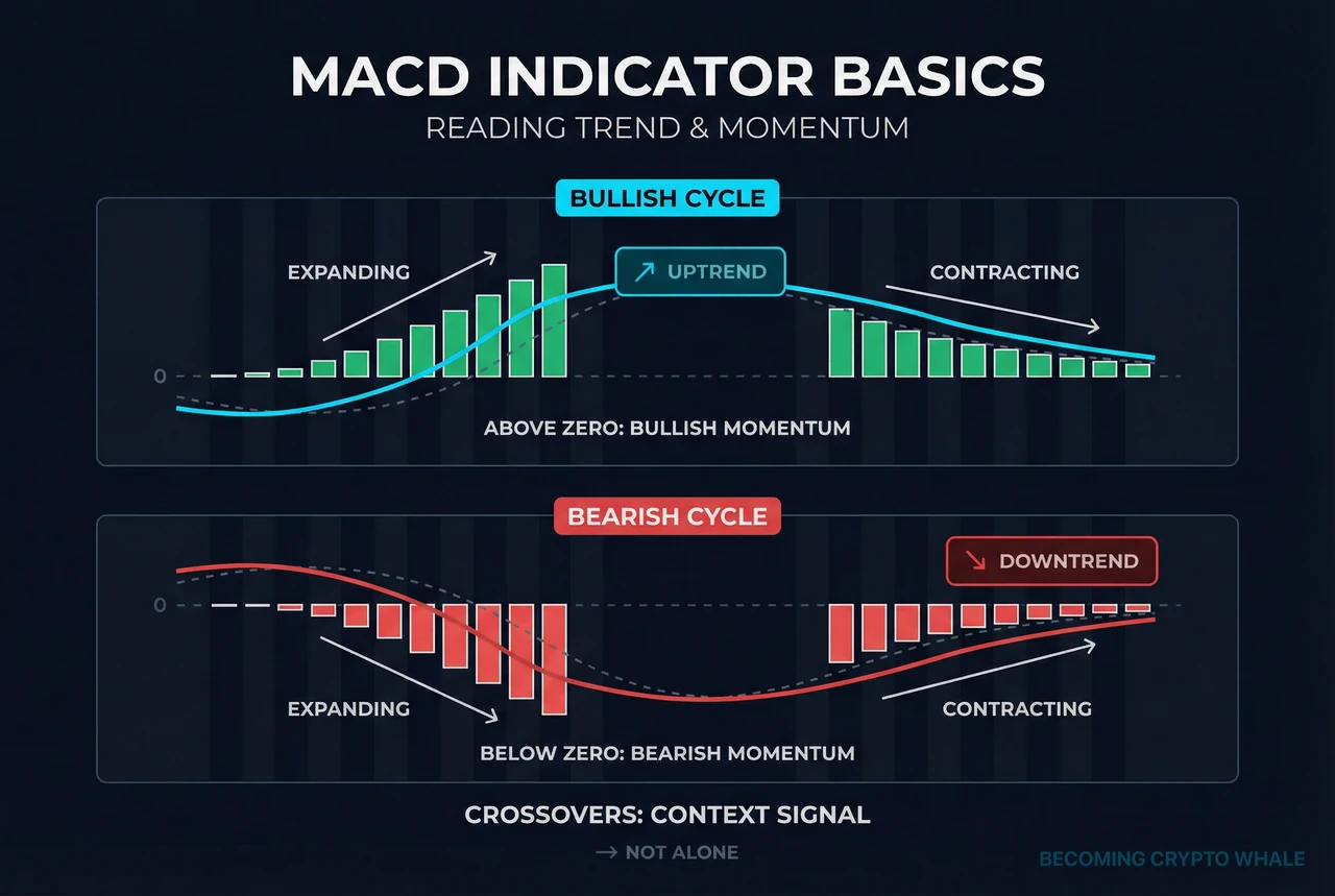 L'histogramme MACD s'agrandit et se réduit au-dessus de la ligne zéro créant un cycle de momentum haussier, et créant un cycle de momentum baissier en dessous de la ligne zéro, comparés côte à côte