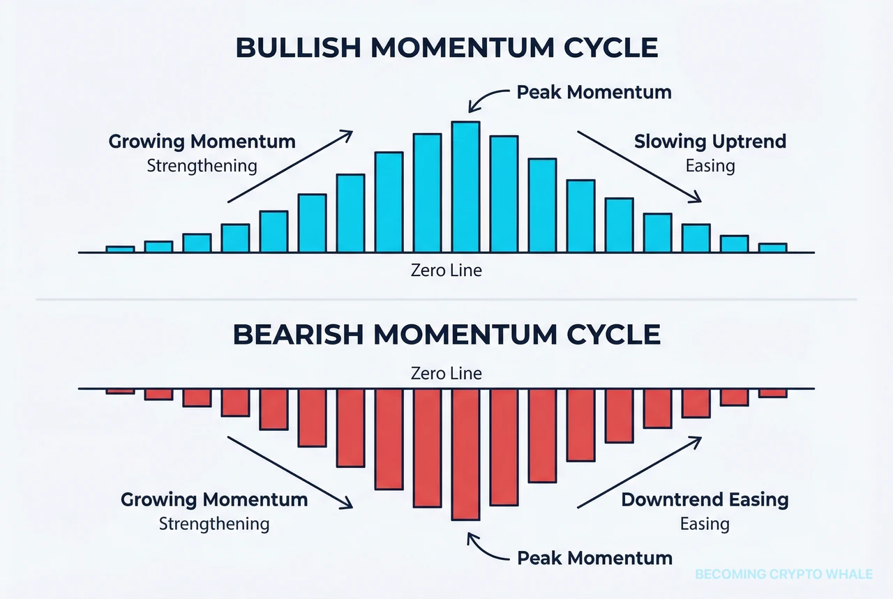 L'histogramme MACD s'agrandit et se réduit au-dessus de la ligne zéro créant un cycle de momentum haussier, et créant un cycle de momentum baissier en dessous de la ligne zéro, comparés côte à côte