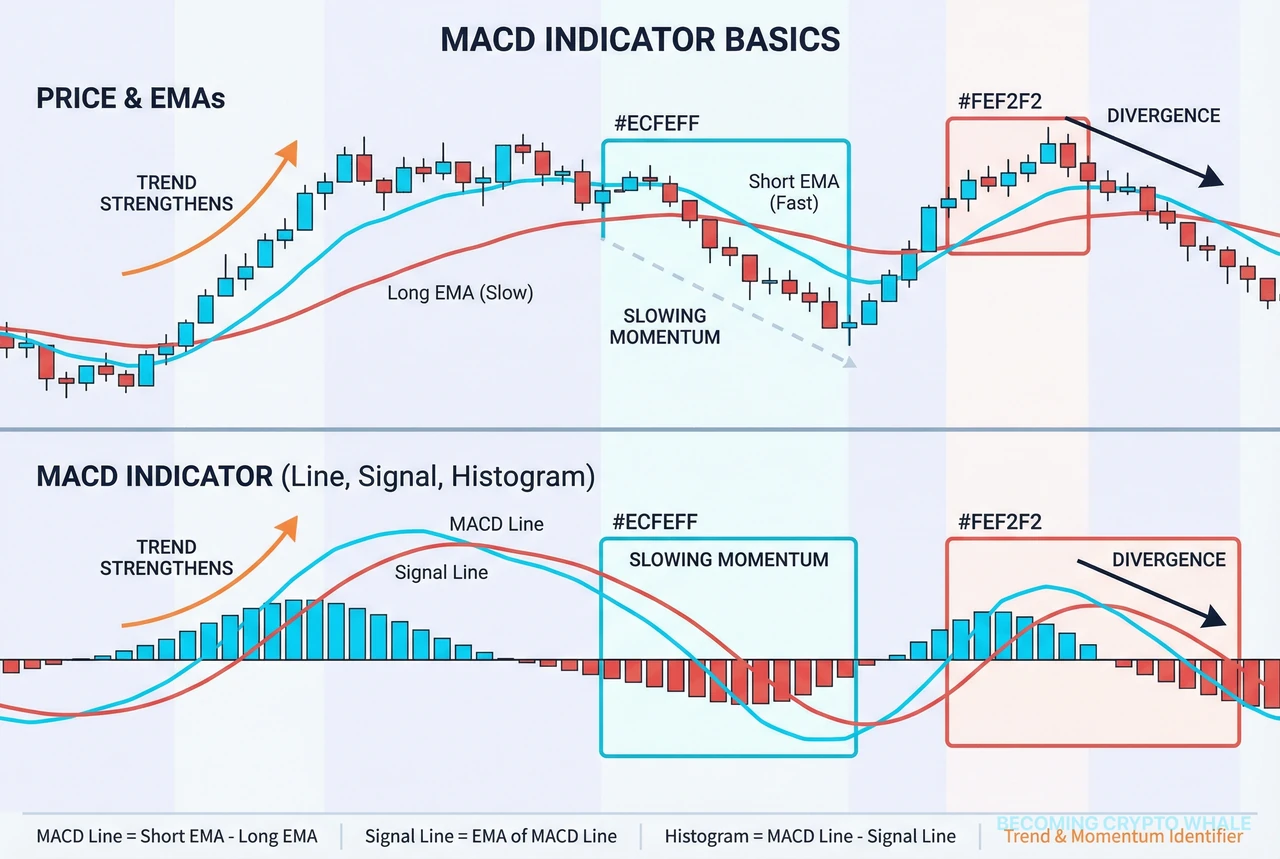 Prix et EMA court/long terme en haut, ligne MACD, ligne de signal et histogramme en bas, mettant en évidence les zones de renforcement de tendance, ralentissement du momentum et divergence