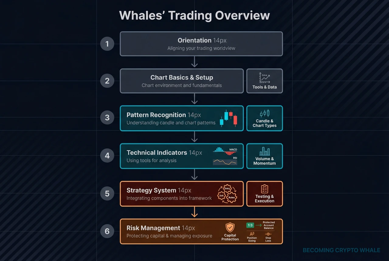 Trading roadmap die oriëntatie, grafiek basis, patronen, indicatoren, strategie en risicomanagement verbindt