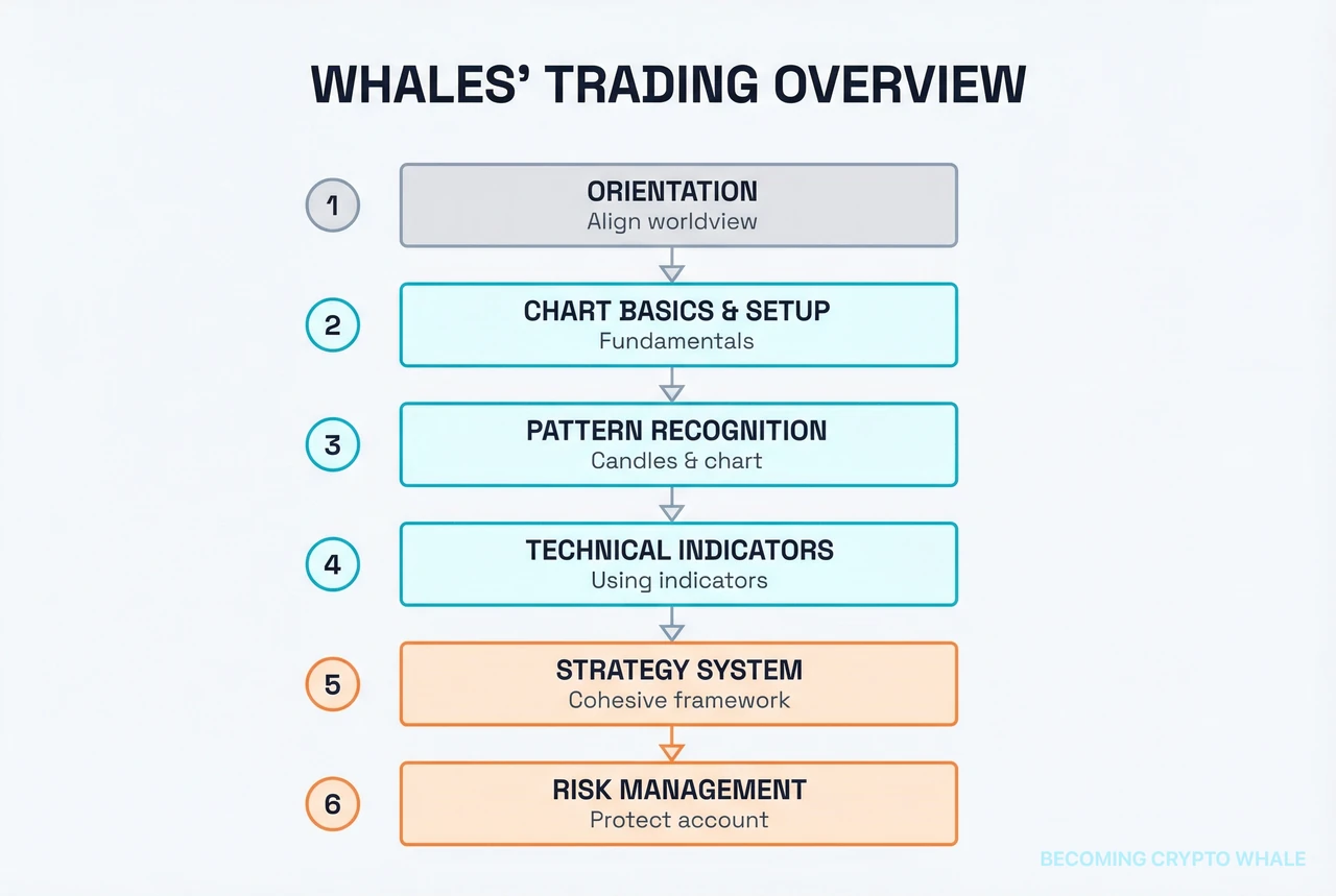 Trading roadmap die oriëntatie, grafiek basis, patronen, indicatoren, strategie en risicomanagement verbindt